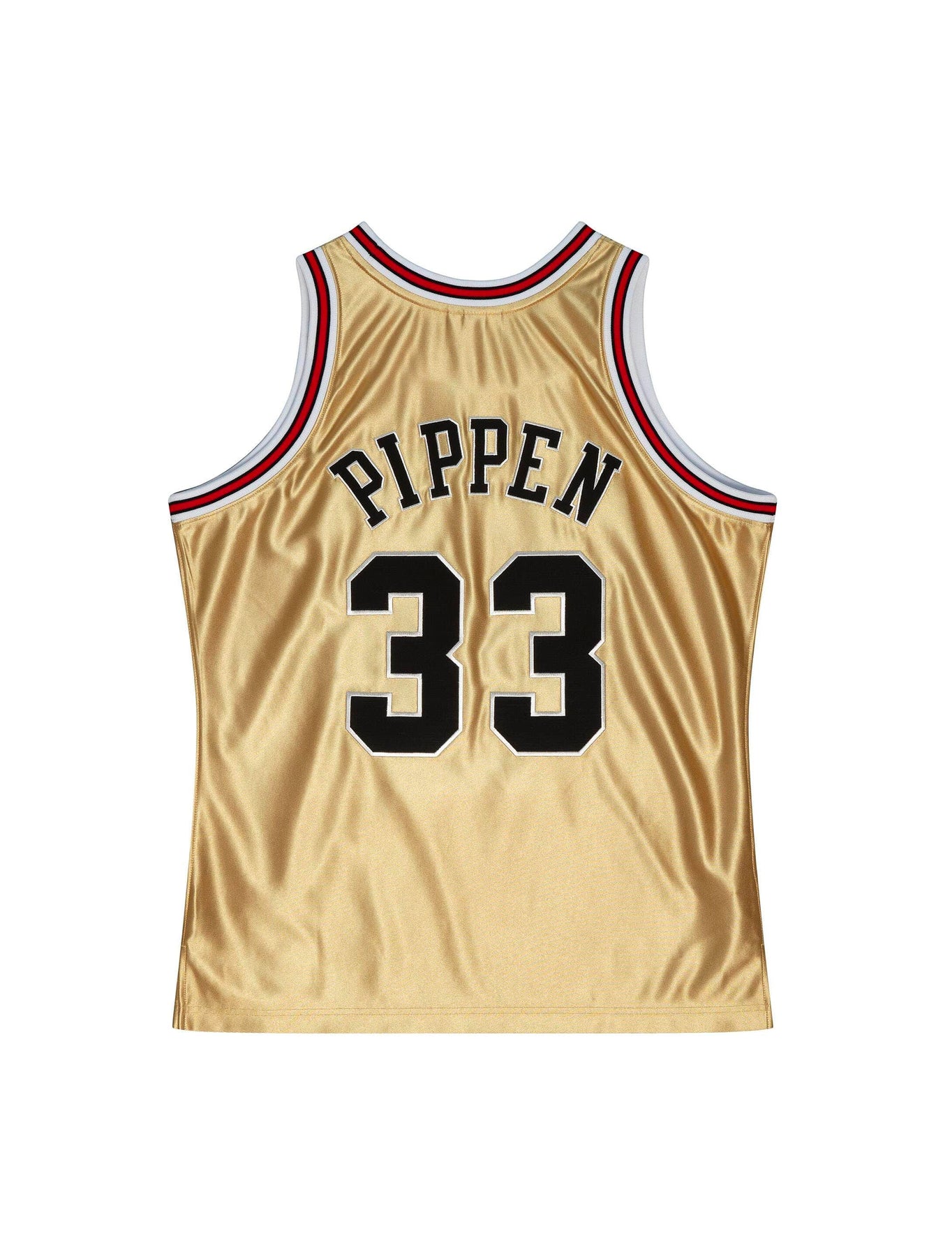 Chicago Bulls Jersey (PIPPEN 33) in 2023