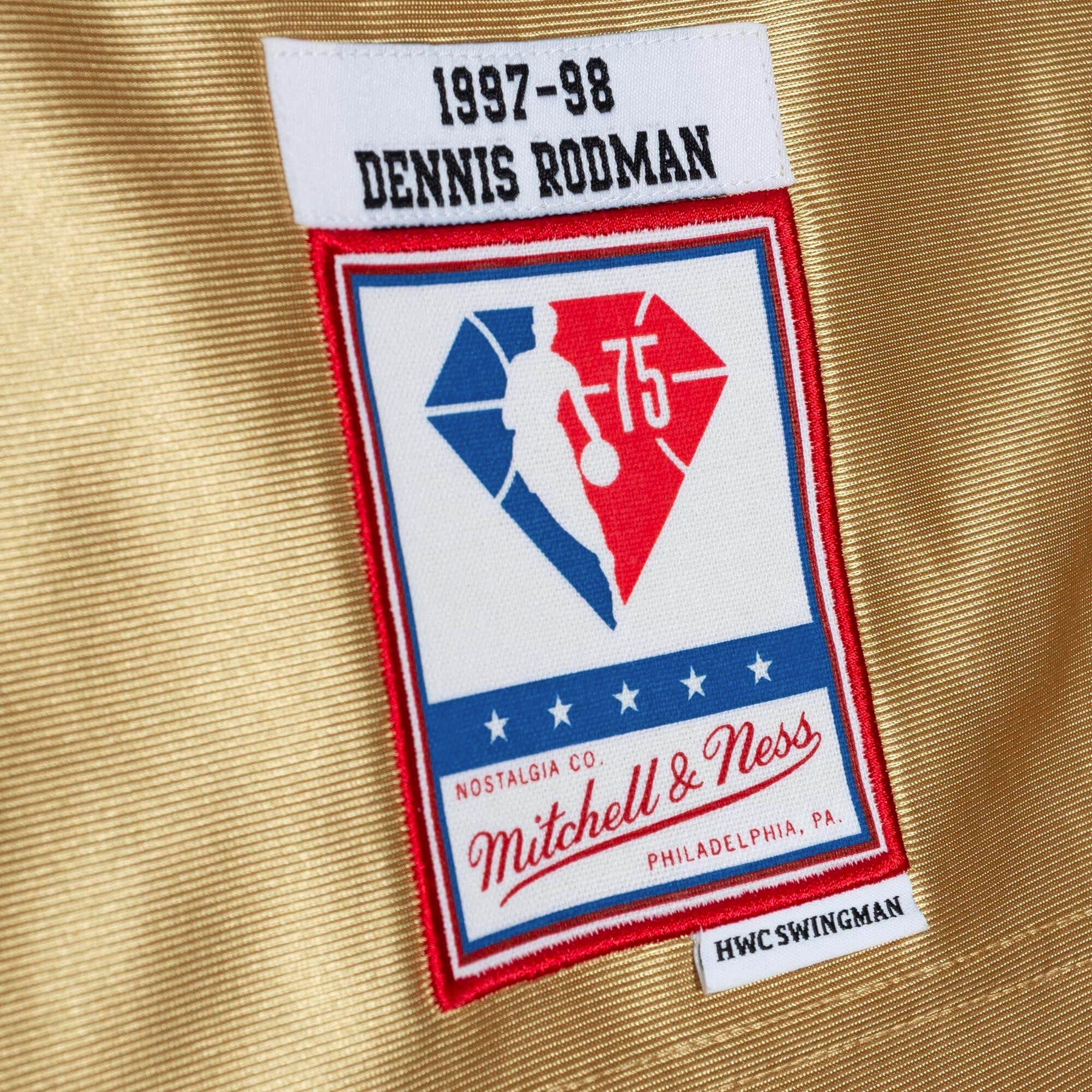 Chicago Bulls 75th Anniversary Swingman Jersey Dennis Rodman - Youth by  Mitchell & Ness